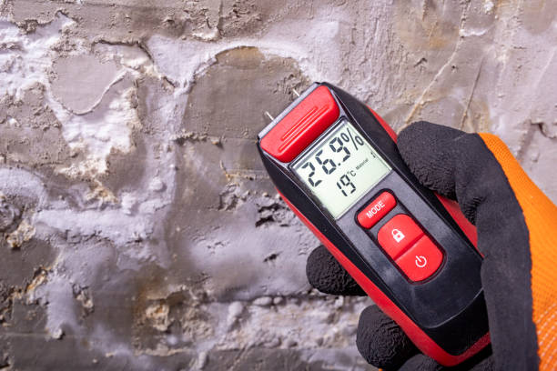 Best Attic Mold Removal  in Noroton Heights, CT